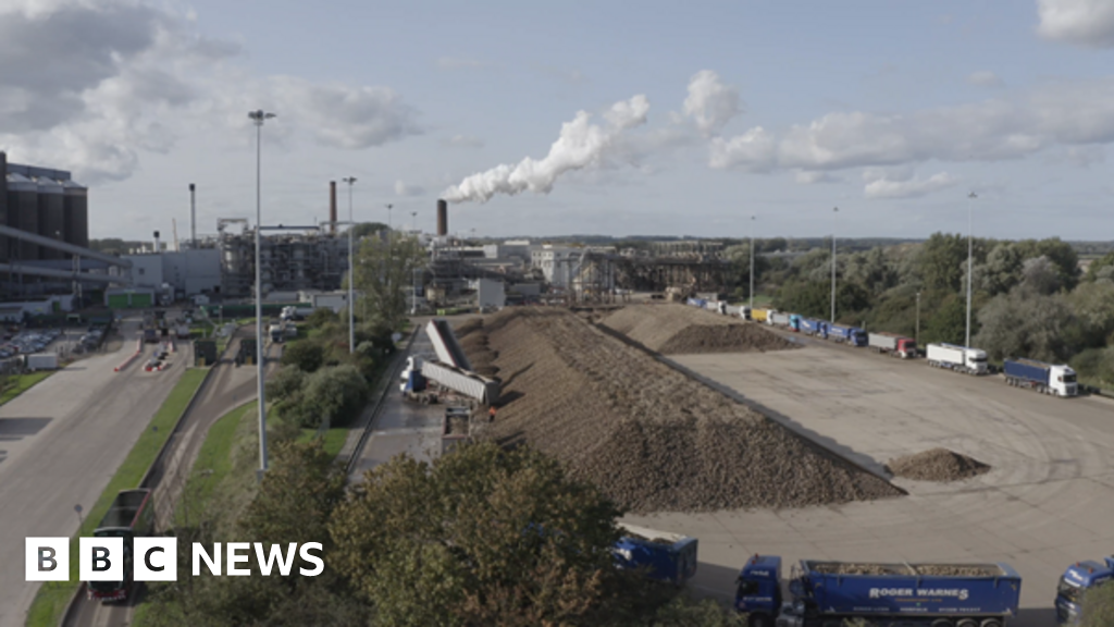 Wissington Sugar: Nurturing Talent & Pioneering Decarbonisation